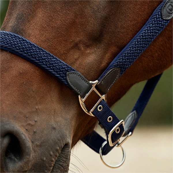 2026 Dublin Braided Leather Headcollar 1031532 - Navy